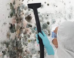 Best Mold Prevention Services  in Glenn Heights, TX